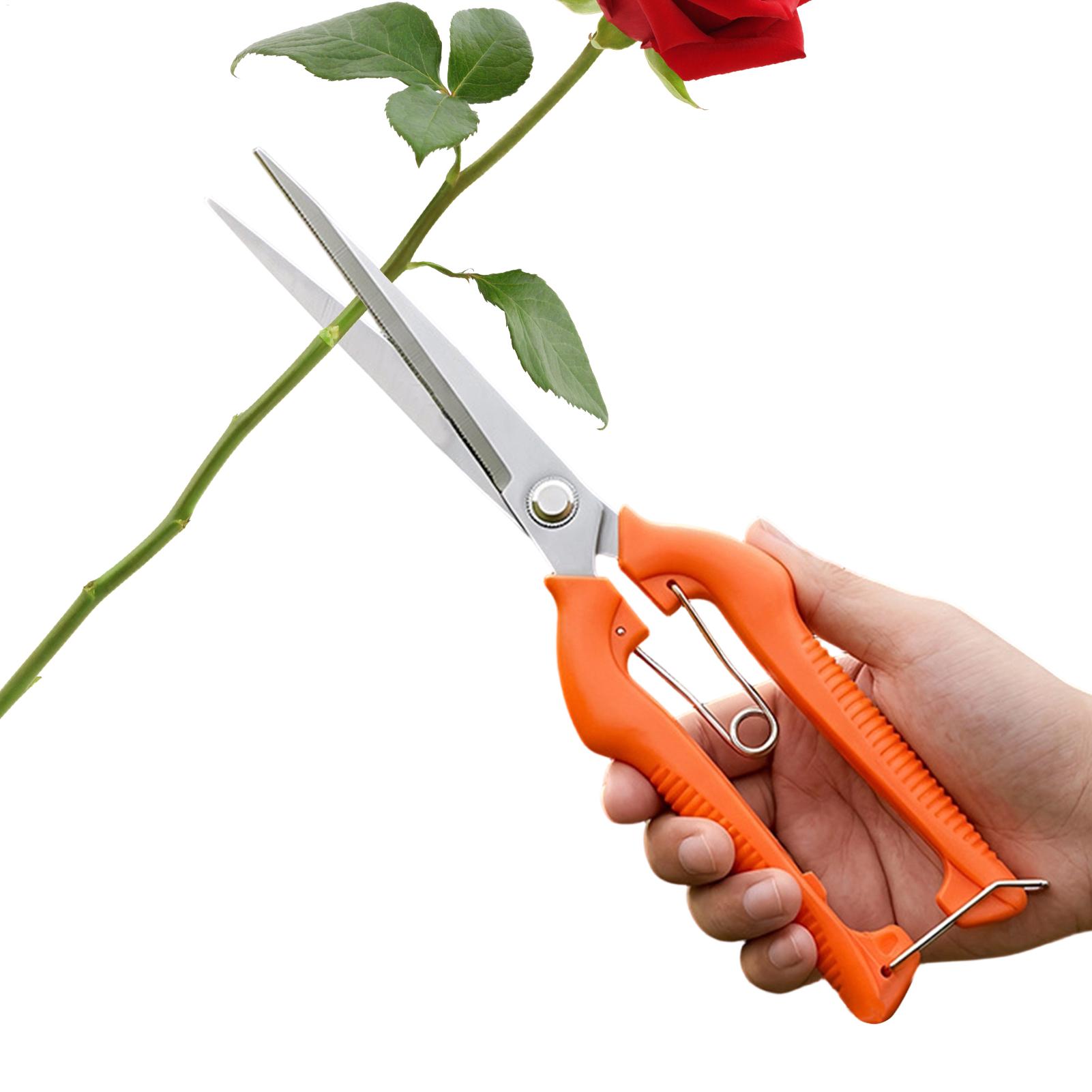 Gardening Tools Women - Pruning Shears Grape Scissors Garden Tool