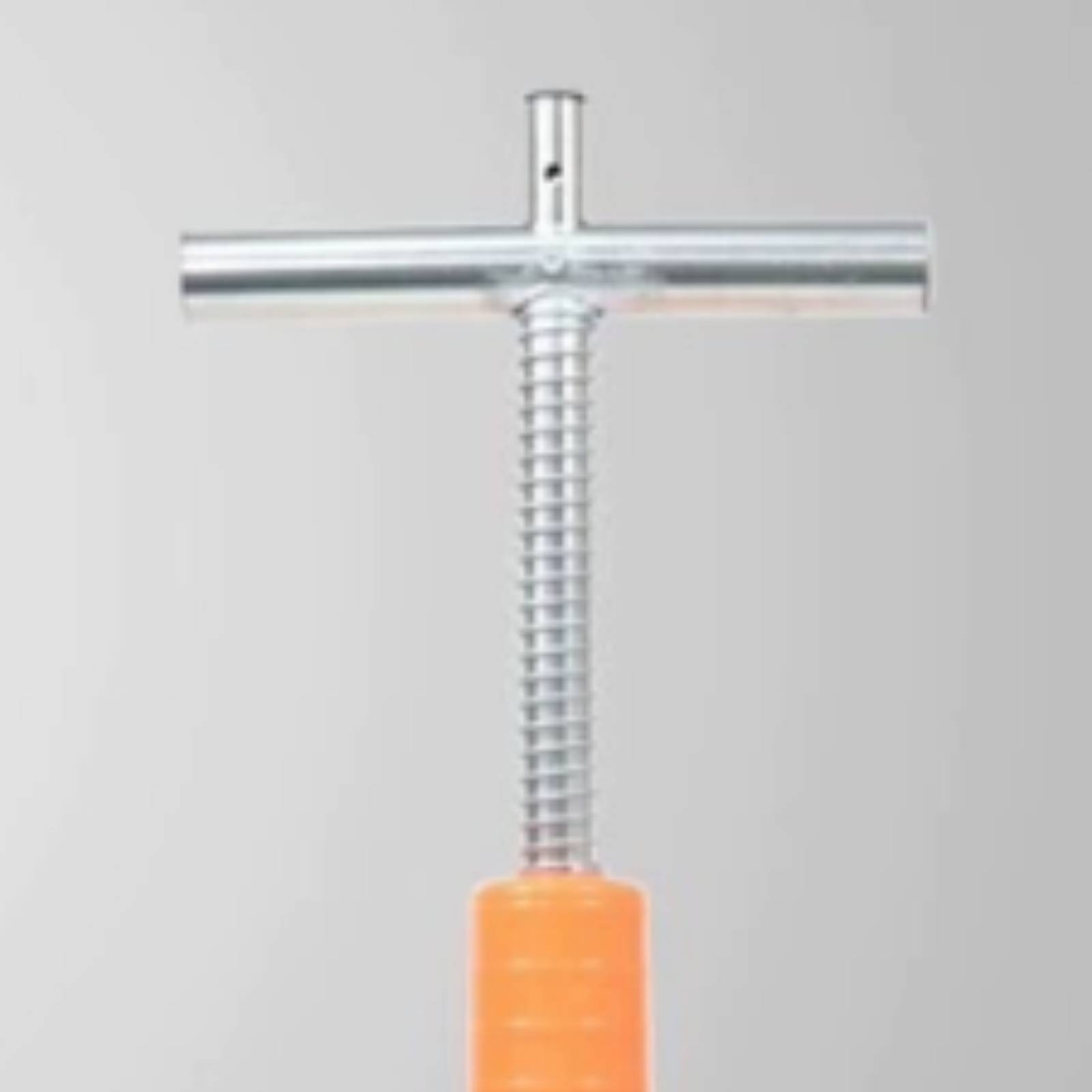 Gardening Tools Vegetables - Fertilizer Applicator with T Handle Pointed