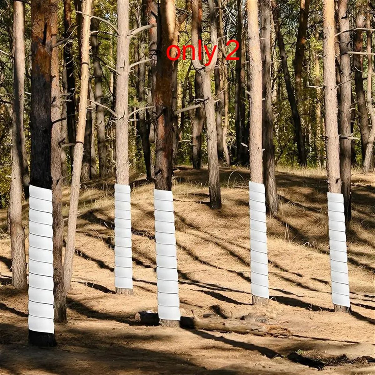 A75K Plant Tree Trunk Protecto - Gardening Tools B&Q ulasan dan harga