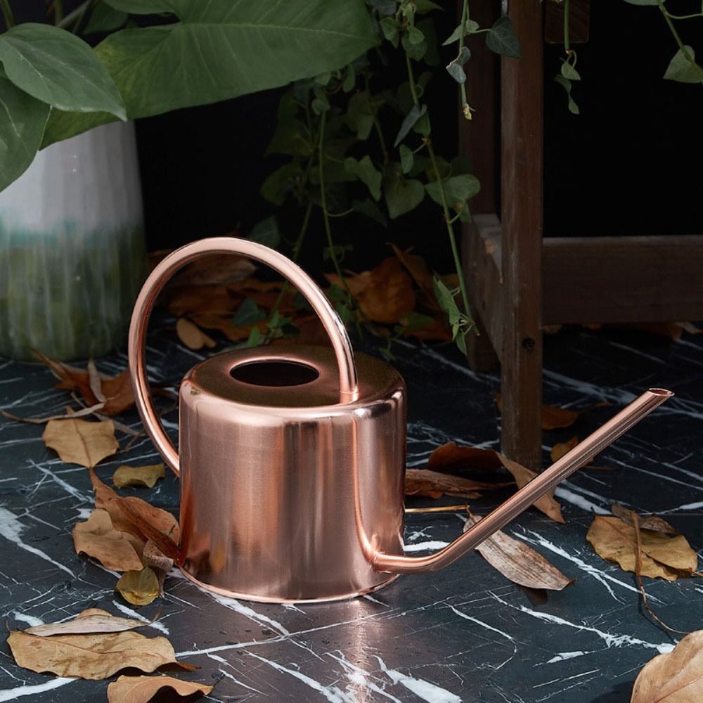 u 1.3L Plant Sprinkler Kettle  - Watering Can Long Spout ulasan dan harga