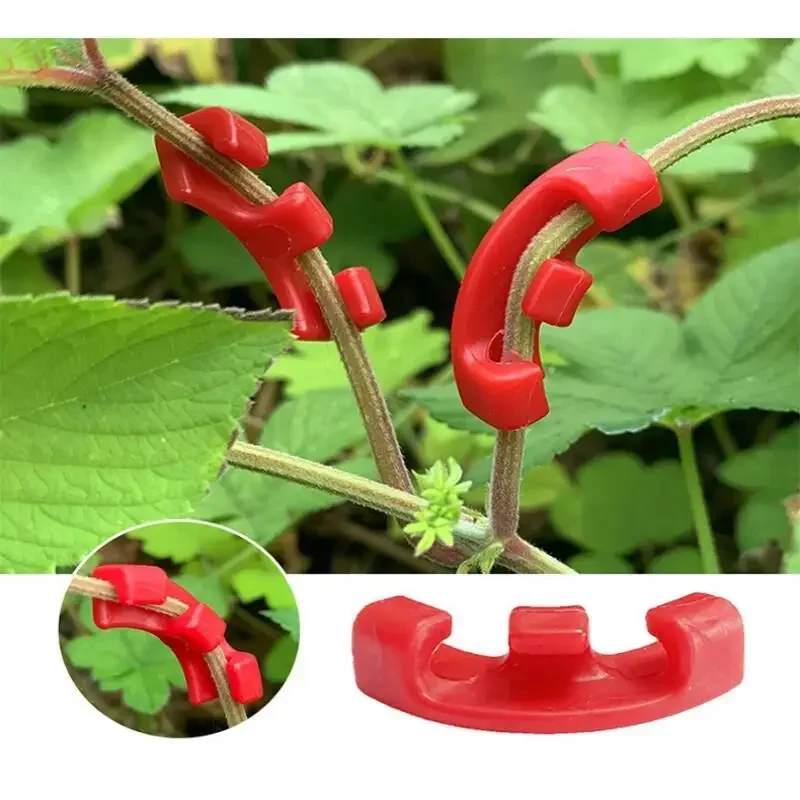10-100Pcs 90 Degree Plant Bend - Gardening Tools Lowes ulasan dan harga