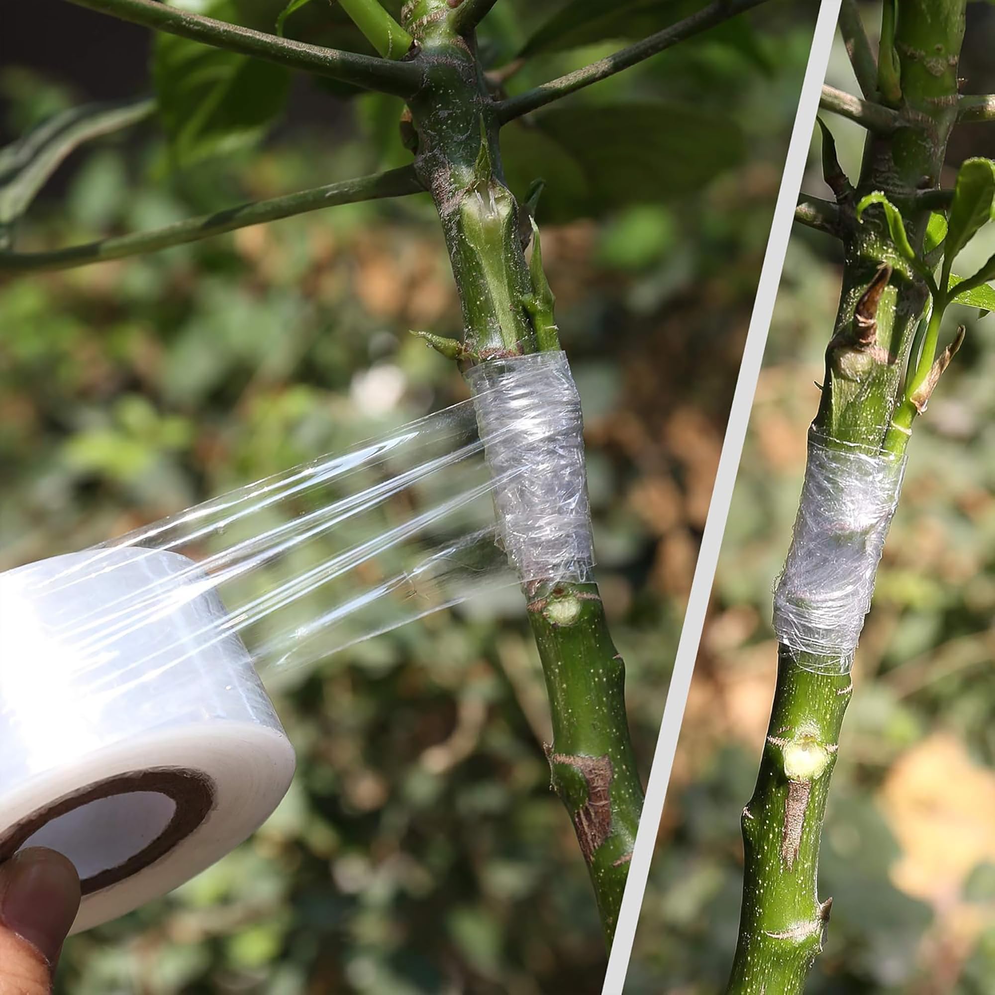 Easy Use Biodegradable Self Ad - Gardening Tools And Uses ulasan dan harga