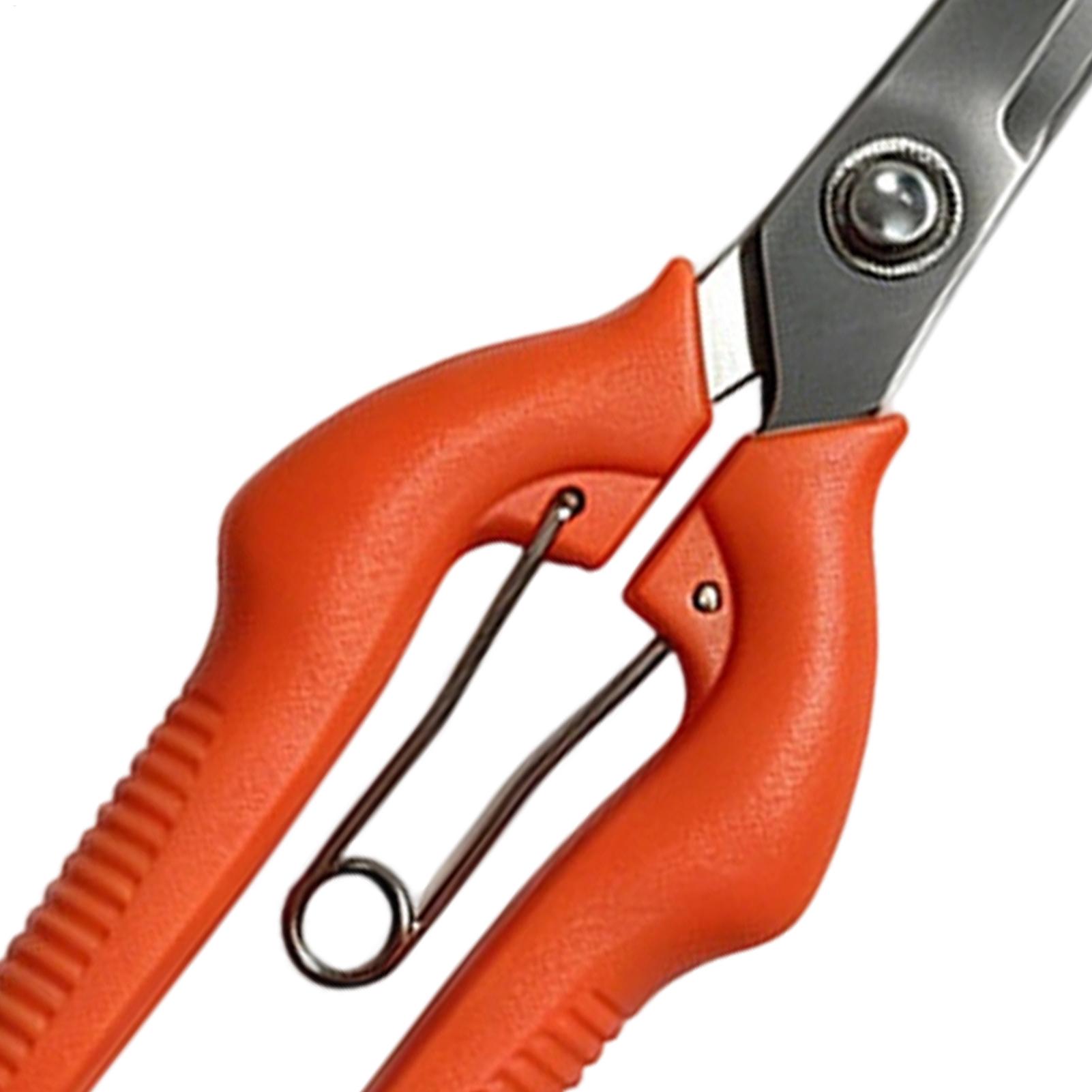 Pruning Shears Grape Scissors  - Gardening Tools Women ulasan dan harga