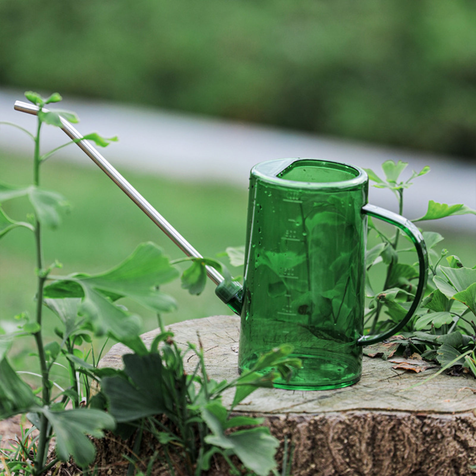 1L/1.5L Indoor Plants Watering - Watering Can Long Spout ulasan dan harga