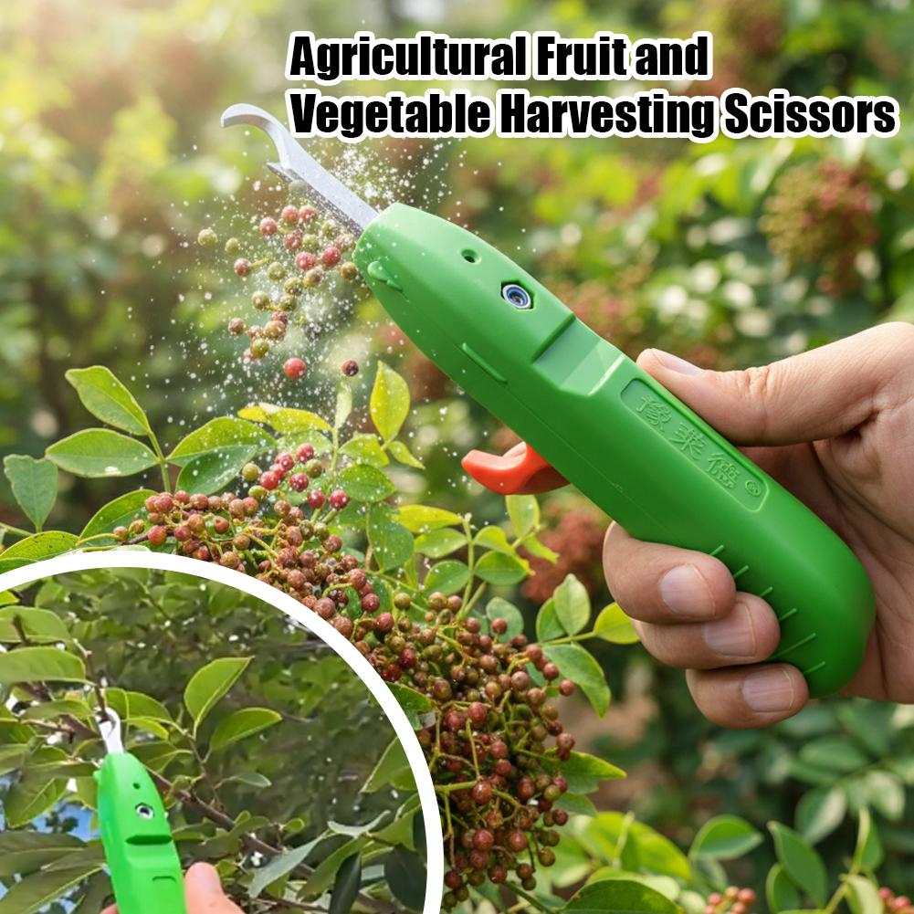 Fruit And Vegetable Picking Sh - Gardening Tools Vegetables ulasan dan harga