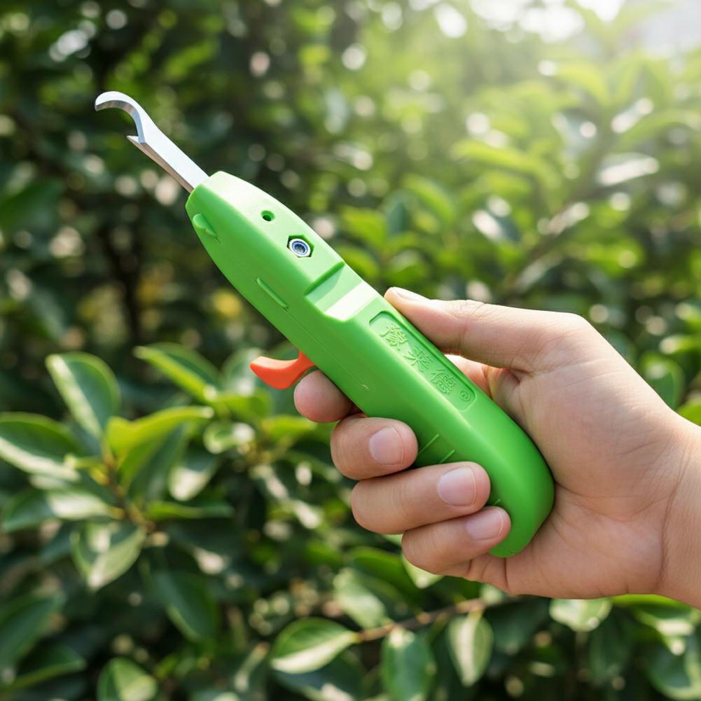 Fruit And Vegetable Picking Sh - Gardening Tools Vegetables ulasan dan harga