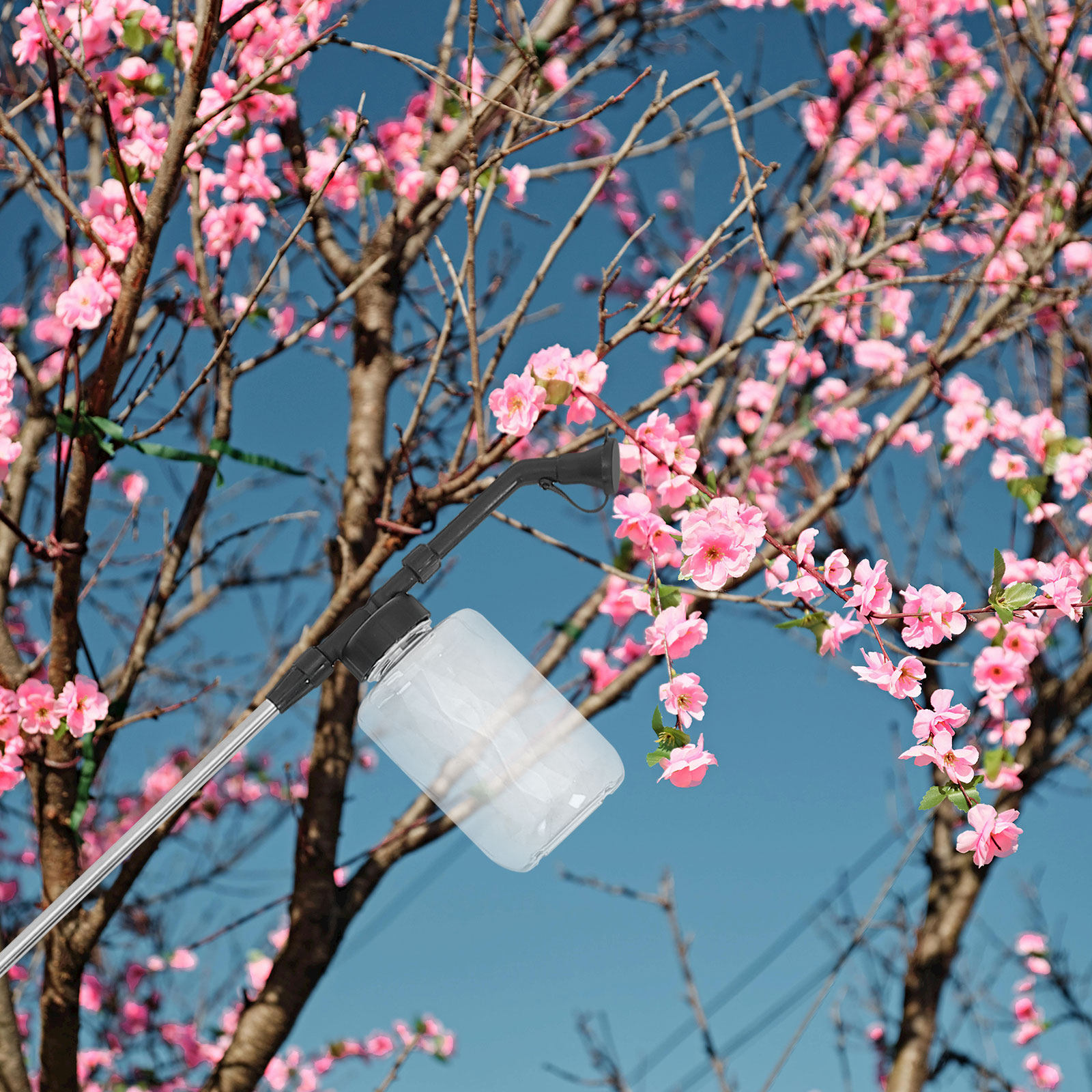 Manual Pollination Stick Handh - Gardening Tools Vegetables ulasan dan harga