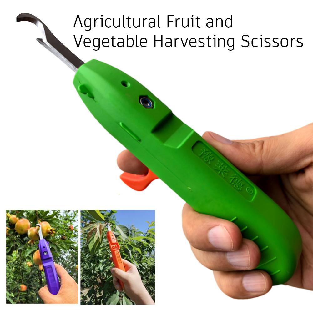 Portable Fruit Vegetable Quick - Gardening Tools Vegetables ulasan dan harga