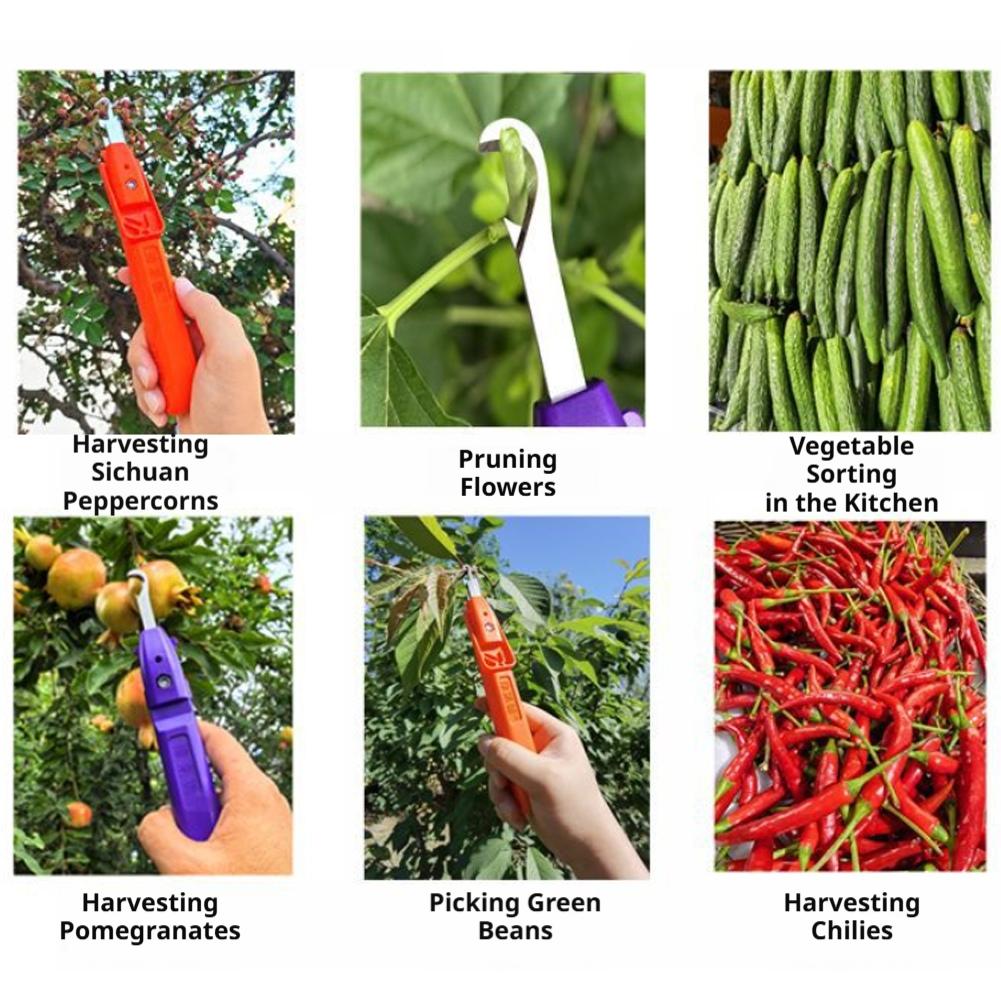 Portable Fruit Vegetable Quick - Gardening Tools Vegetables ulasan dan harga