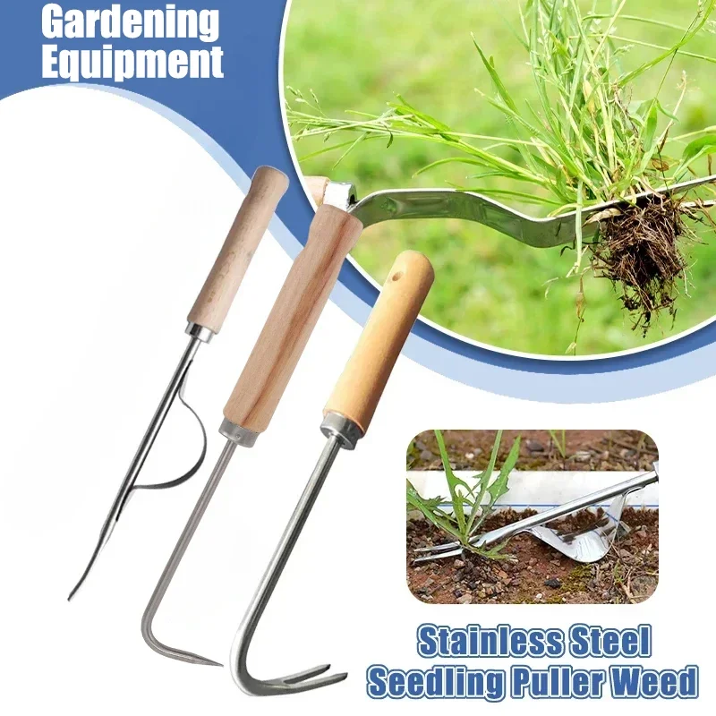 Stainless Steel Gardening Weed - Gardening Tools To Remove Weeds ulasan dan harga