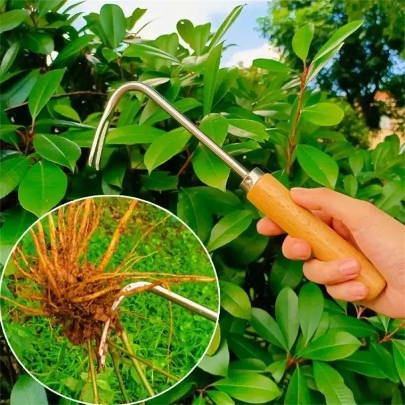 Stainless Steel Gardening Weed - Gardening Tools To Remove Weeds ulasan dan harga