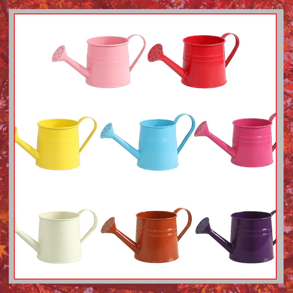 Flower Long Spout Water Can fo - Watering Can Long Spout ulasan dan harga