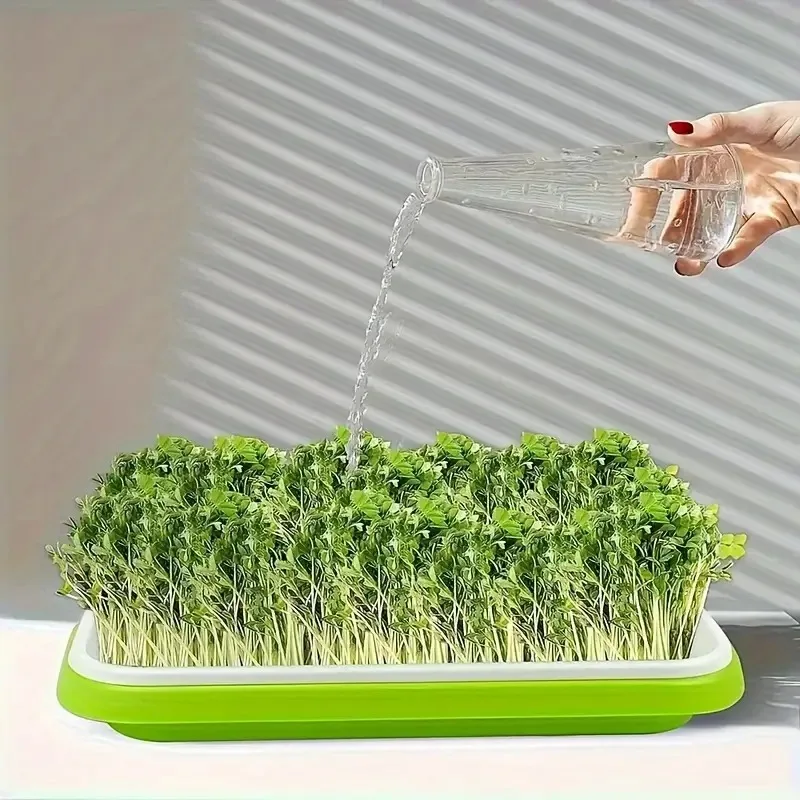 Latest Models Seedling Tray Su - Gardening Tools Vegetables ulasan dan harga