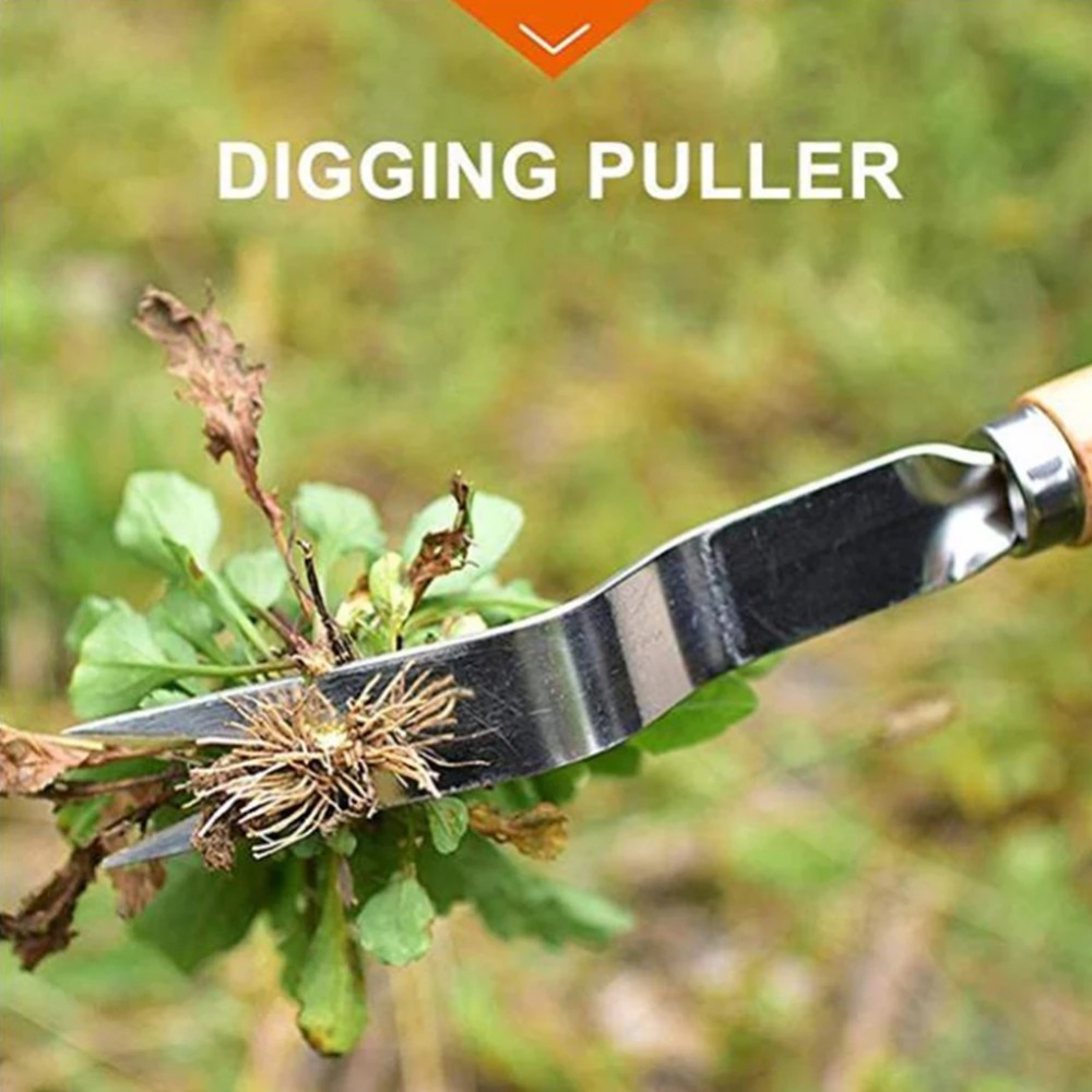 1pcs Wood Handle Stainless Ste - Gardening Tools To Remove Weeds ulasan dan harga