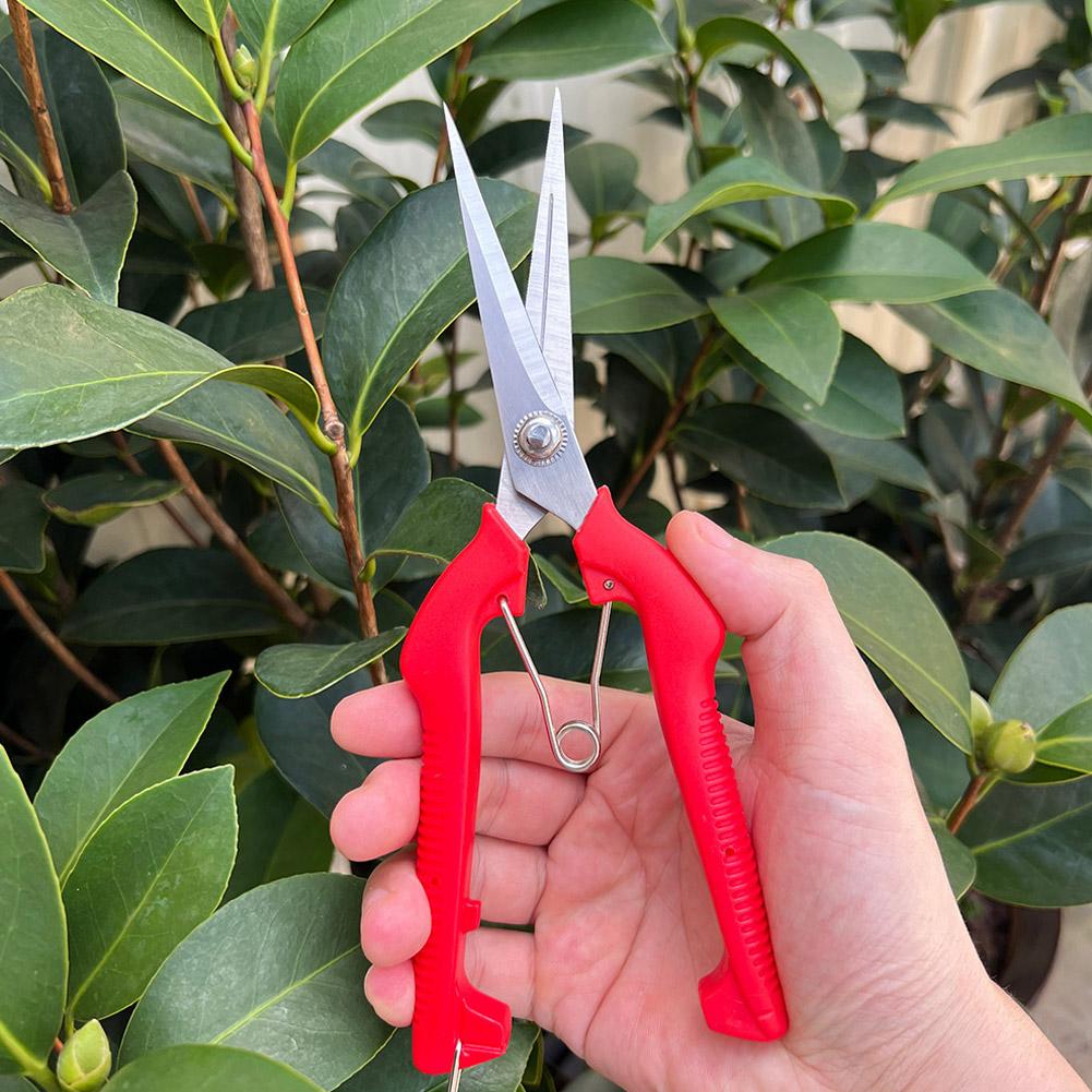 Pro Garden Pruning Shears Leng - Gardening Tools Vegetables ulasan dan harga