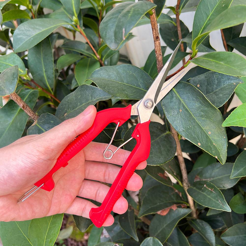 Pro Garden Pruning Shears Leng - Gardening Tools Vegetables ulasan dan harga