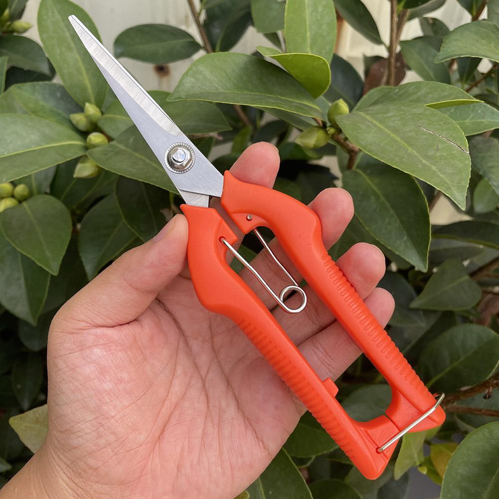 Pro Garden Pruning Shears Leng - Gardening Tools Vegetables ulasan dan harga