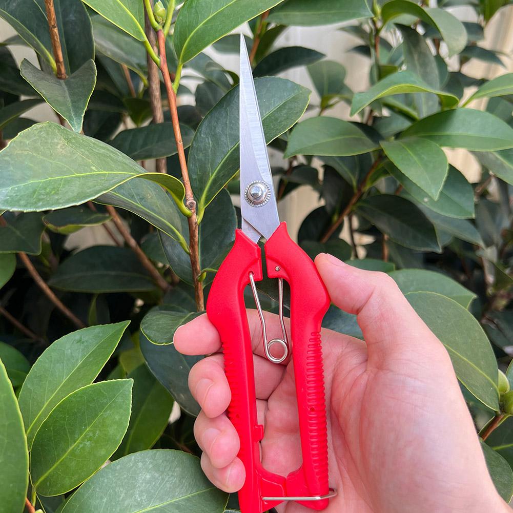 Pro Garden Pruning Shears Leng - Gardening Tools Vegetables ulasan dan harga