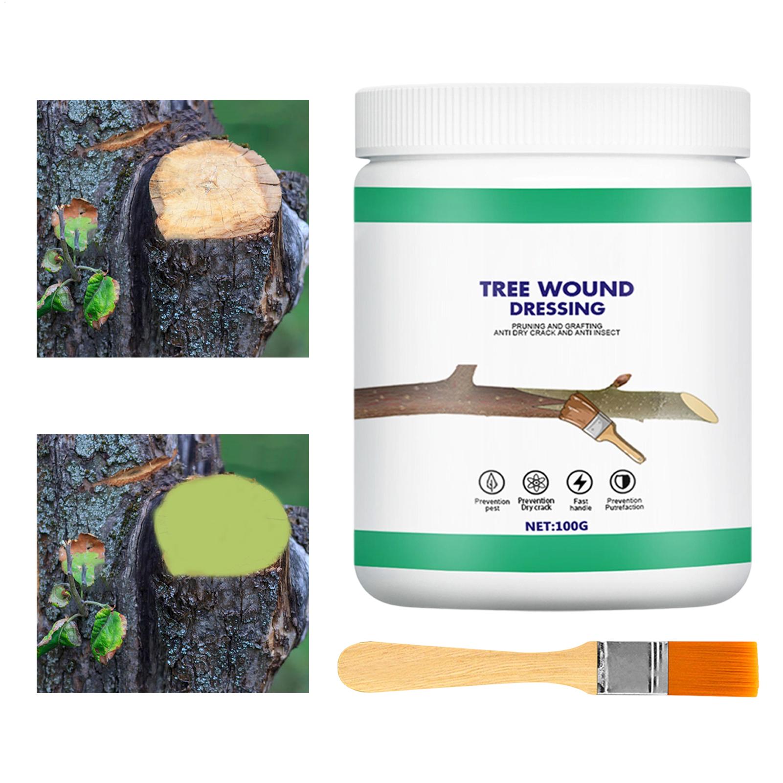 Tree Grafting Paste Tree Wound - Gardening Tools Women ulasan dan harga