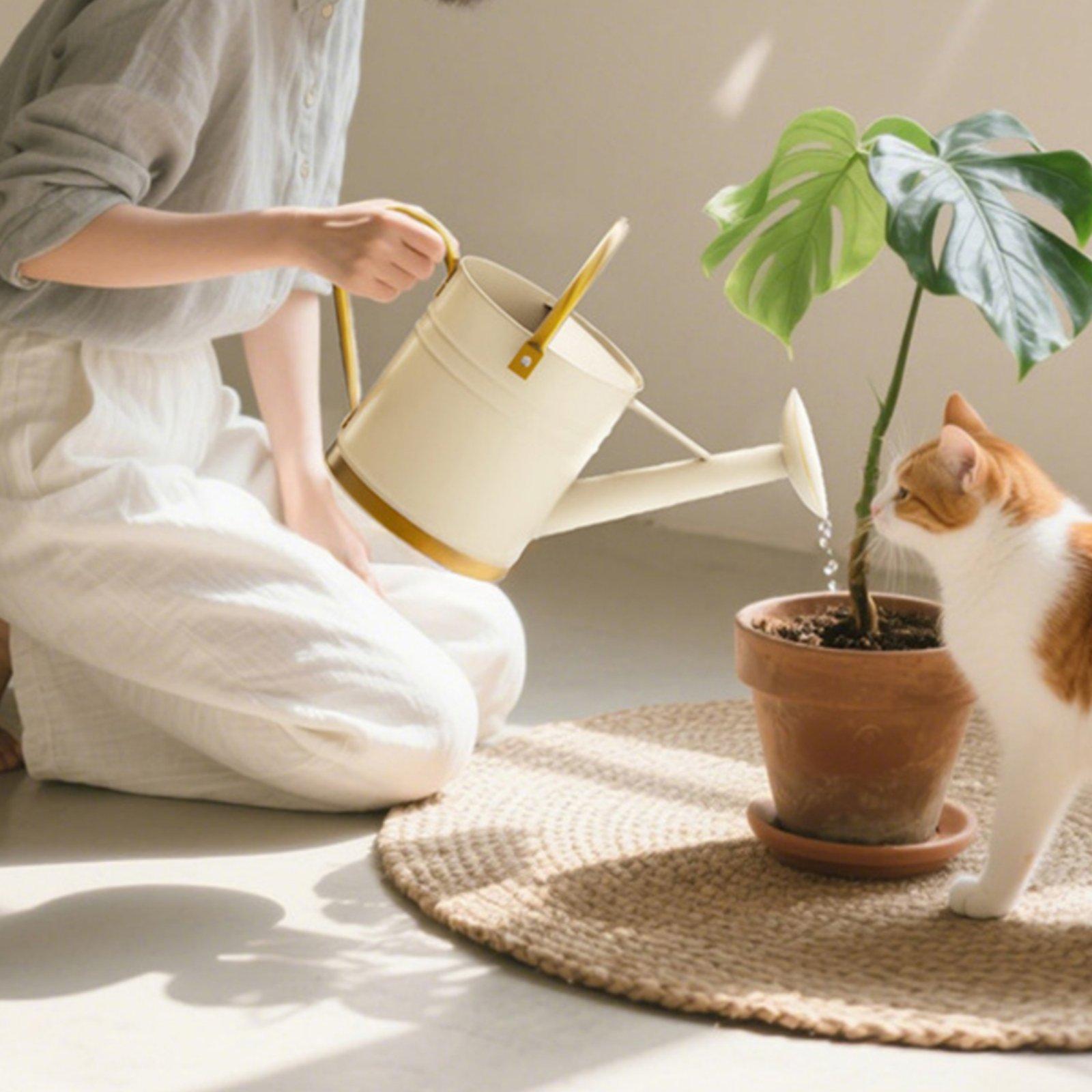 Long Spout Watering Can Leak-P - Watering Can Long Spout ulasan dan harga