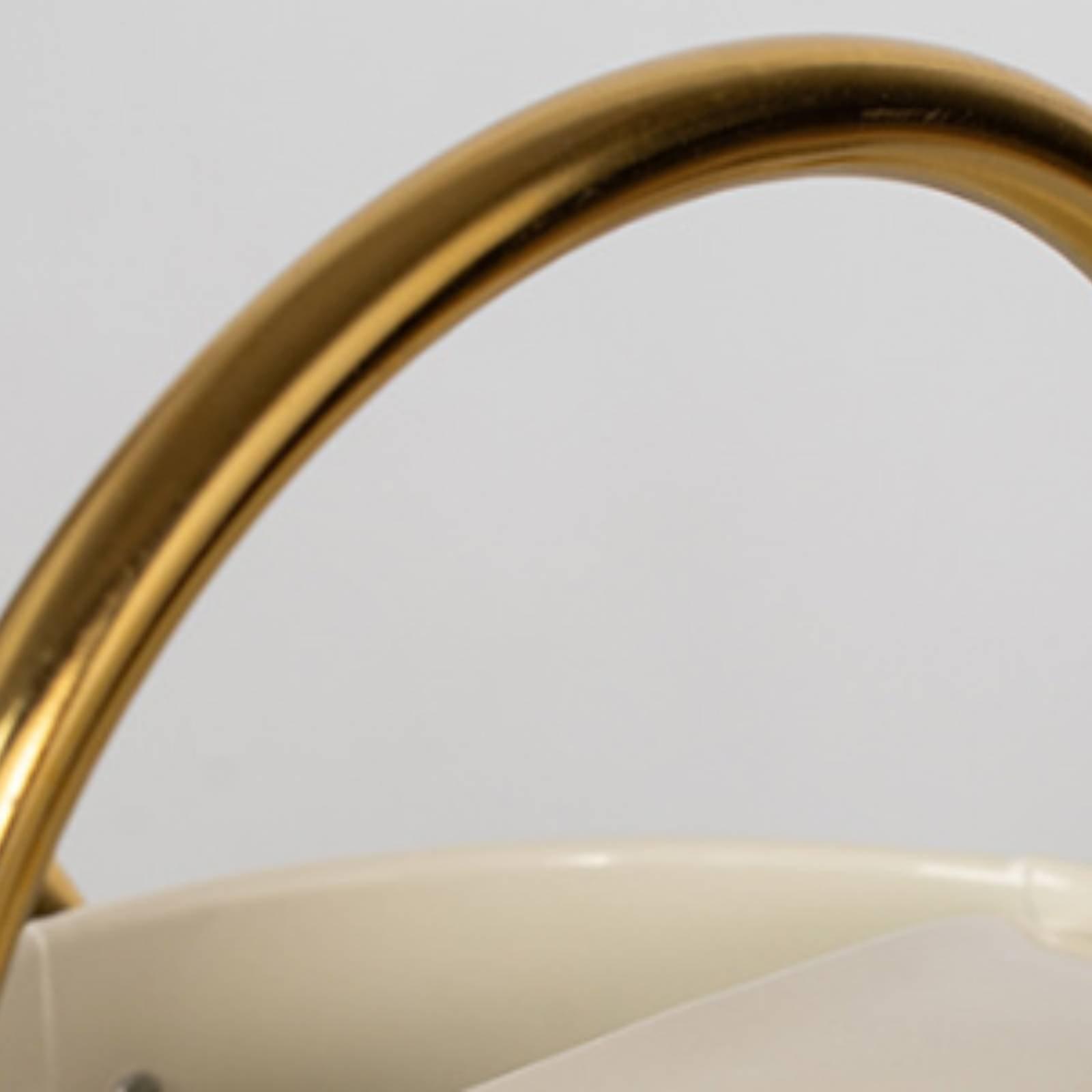 Long Spout Watering Can Leak-P - Watering Can Long Spout ulasan dan harga