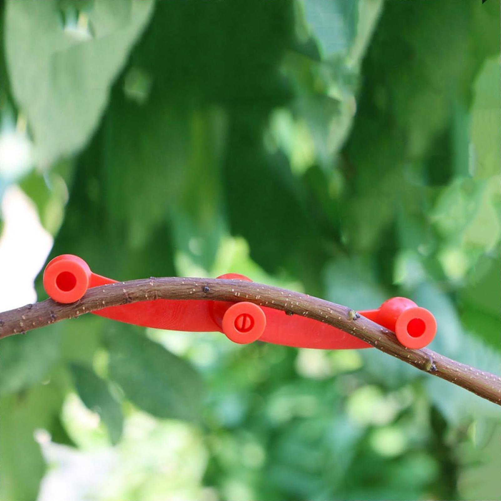 10pcs Plant Training Clips Tre - Gardening Tools Lowes ulasan dan harga