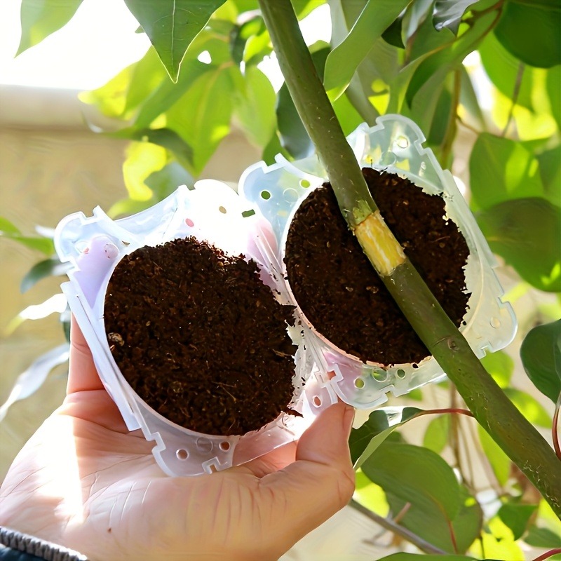 10Pcs High Pressure Plant Root - Gardening Tools And Uses ulasan dan harga