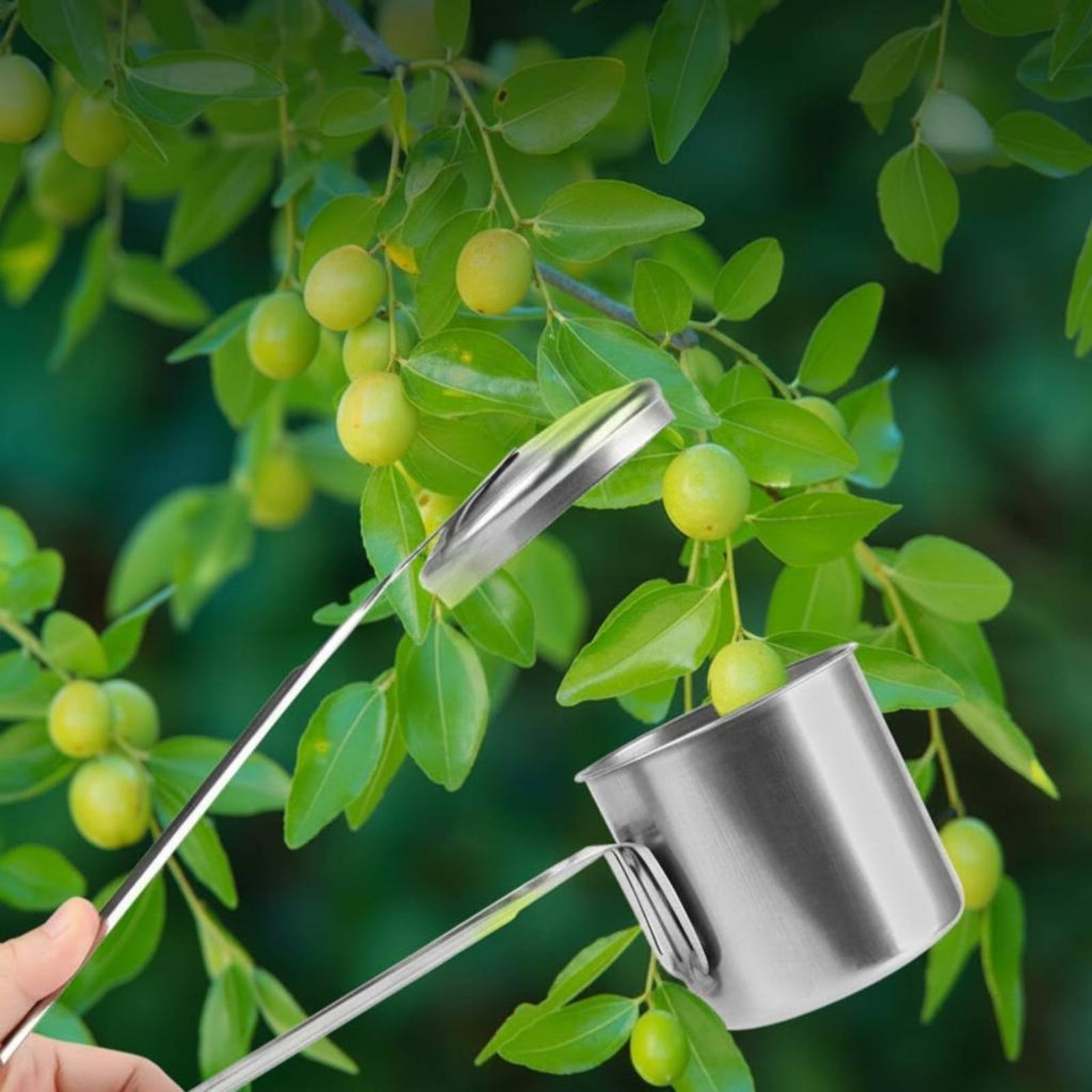 Cup Fruit Picker Stainless Ste - Gardening Tools And Uses ulasan dan harga