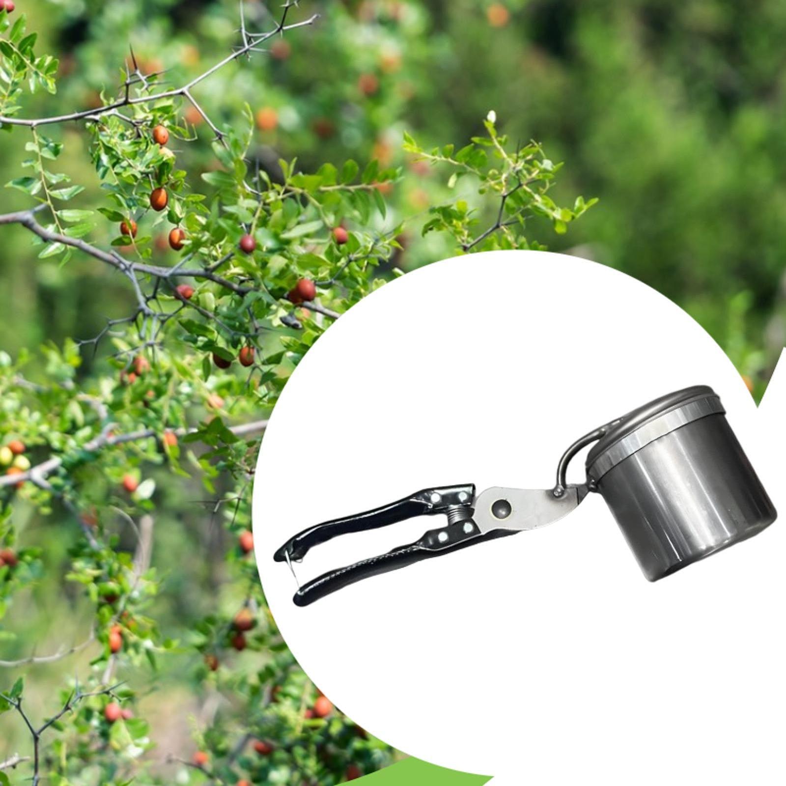 Fruit Picker, Easy to Use Port - Gardening Tools And Uses ulasan dan harga